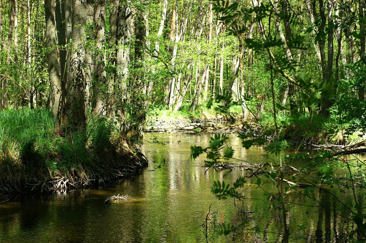 Fürstenberg-Havel Ferien Am Hegensteinbachヴィラ エクステリア 写真