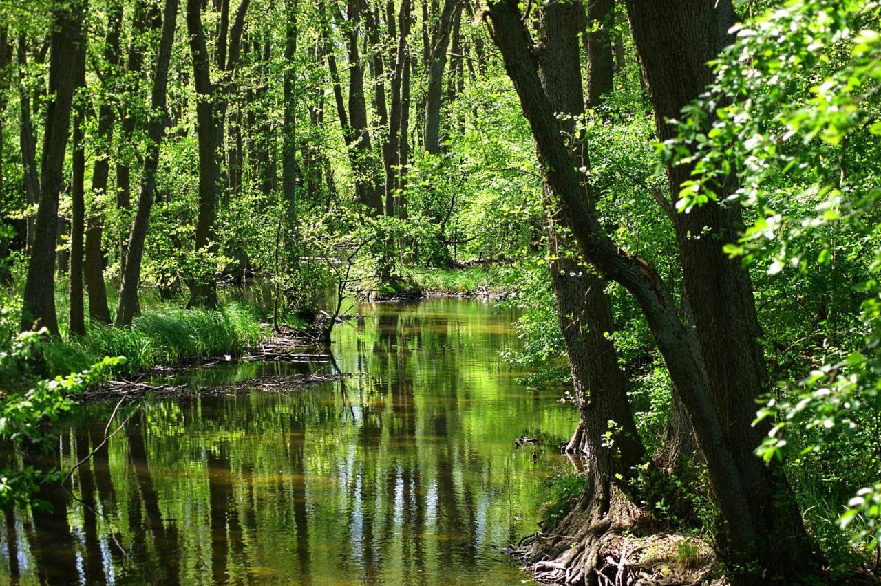 Fürstenberg-Havel Ferien Am Hegensteinbachヴィラ エクステリア 写真